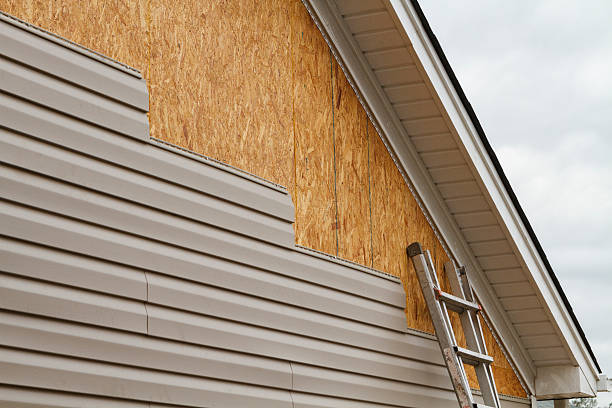 Professional Fiber Cement Siding technician working in Dry Ridge, KY